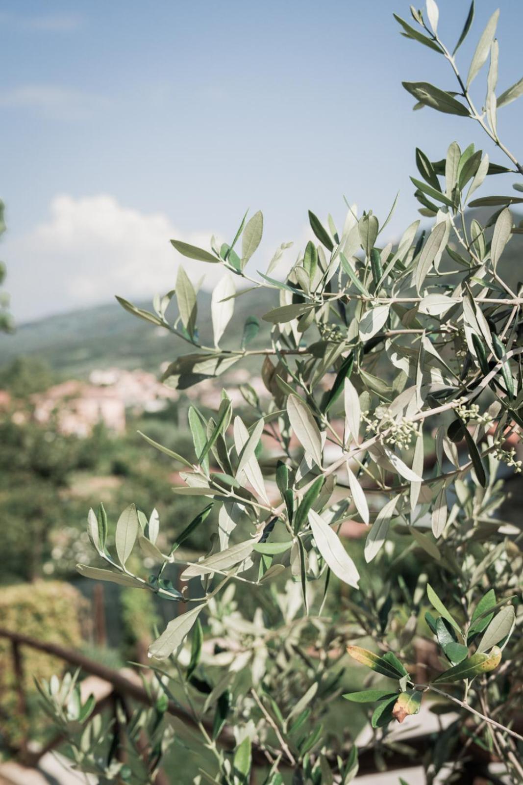 غارليندا Borgata Cantone Country House B&B المظهر الخارجي الصورة